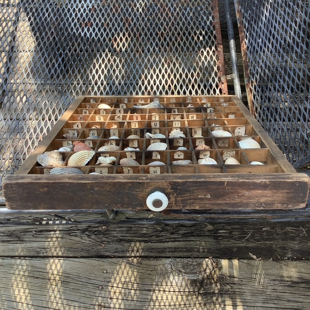Vintage Antique Printers Tray Filled With Seashells 🐚 Wall Home Decor - Picture 5 of 6